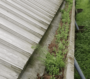 Happy customers in Hindhead who trust The Roof Moss Cleaners for gutter cleaning services