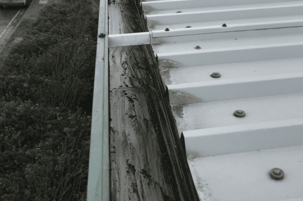 Commercial gutter cleaning specialists in Hindhead